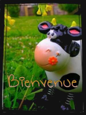 bienvenue!!